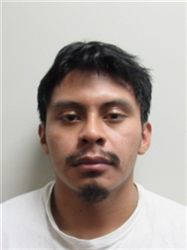 Official registry photo of ALEX MELECIO-TINIGUARIO